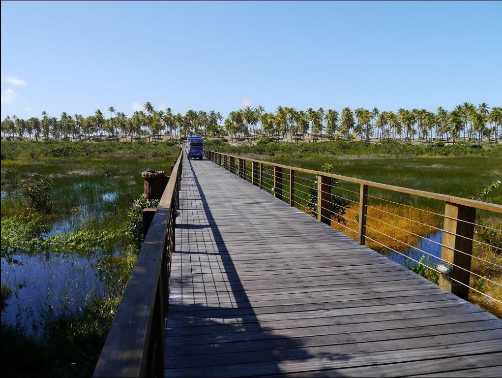 Apartamento Terraco Buganvilias - Reserva Imbassaí Extérieur photo